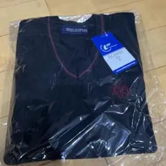 新品 清風学園 スクールセーター ネイビー S 学生服