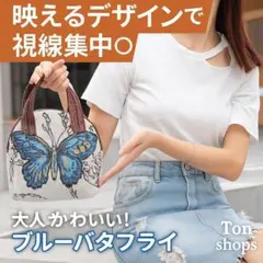 蝶々 刺繍 バッグ ブルー ハンドバッグ 軽量 コンパクト おしゃれ