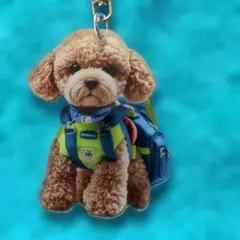 新品未使用 リュックを背負った犬のアクリルキーホルダーです