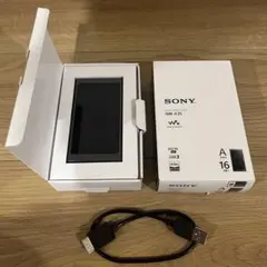 SONY ウォークマン NW-A35 本体 16GBのサムネイル
