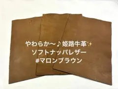 Item thumbnail for item 59fb6da3-34f3-45b5-9e03-d75a07094003