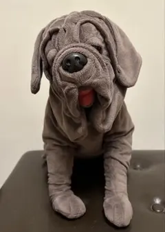 Item thumbnail for item 853f06cb-915b-420a-be17-a579c64adcea