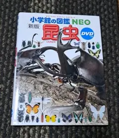小学館の図鑑NEO　新版昆虫　DVD付き