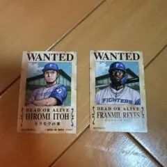 ファイターズトレカ 記念グッズ