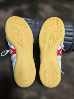 MONARCIDA NEO フットサルシューズ 6.5