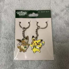 ポケパーク カントー ピカチュウ イーブイ カーニバル衣装