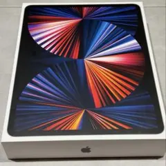 iPad Pro12.9 第5世代　セルラー