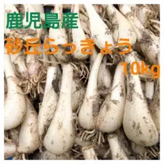 鹿児島県産砂丘らっきょう 10kg - メルカリ