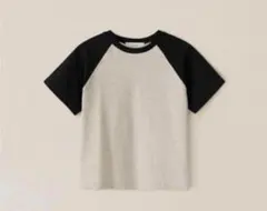 Scheme Raglan T-Shirt ohotoroのサムネイル