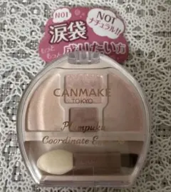 キャンメイク/プランぷくコーデアイズNeo /N01/涙袋