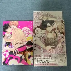 商業BL2冊セット　仰げば狂おし　レンタル彼氏のお尻をご指名