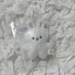 Stray Kids スキズ ペンミ グッズ SKZOO キーリング リービット