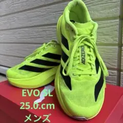 Item thumbnail for item 165c86df-6299-4b75-8865-a554c4970942