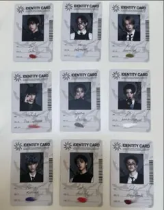 &TEAM 月狼　通常　アイデンティティカード9枚セット３