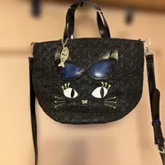 ANNA SUI 黒猫　2WAYバッグのサムネイル