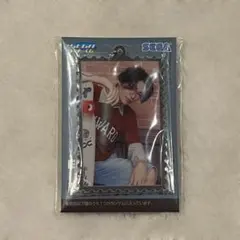 ENHYPEN セガラッキーくじ アクリル切手風キーチェーン 