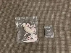いきもの大図鑑アドバンス　ヒョウモントカケモドキ　ブリザード