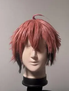 にじさんじ 赤城ウェン コスプレウィッグ - メルカリ