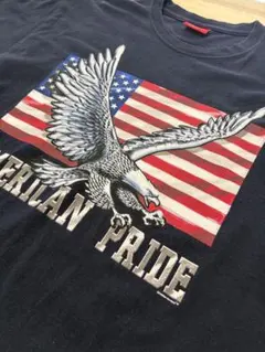 SONOMA アメリカンプライド イーグル星条旗Tシャツ L黒 USA古着 鷲
