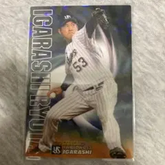 プロ野球チップス 2019 五十嵐亮太 スターカード