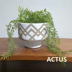 ACTUS STONE WARE フラワーベース Lサイズ - メルカリ
