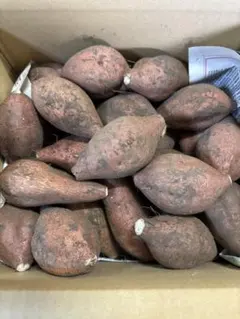 安納芋　Sサイズ 2.5kg