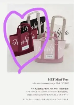 HLT mini tote