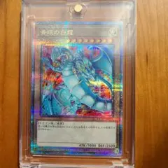 青眼の白龍　25th 新規絵違い　アートコレクション　プリシク