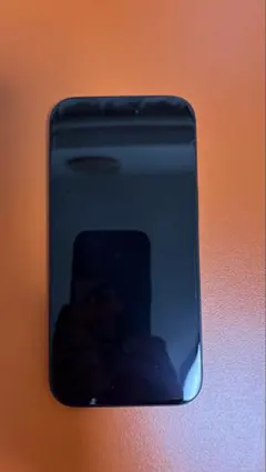 ジャンク品】iPhone 15 128GB ブラック SIMフリー - メルカリ