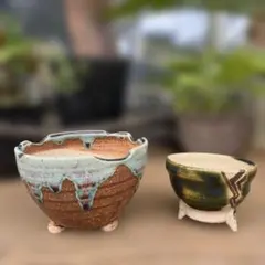 陶器 植木鉢 2点セット 盆栽鉢　山野草鉢　多肉植物にものサムネイル