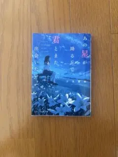 あの星がふる丘で、君とまた出会いたい。 小説