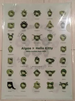 大阪関西万博 日本館限定 ハローキティ クリアファイル【2枚セット】