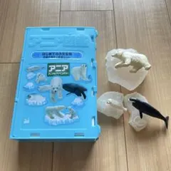 アニア アニマルアドベンチャー はじめての水生生物 北極の海の人気者セットのサムネイル