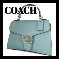 COACH ハンドバッグ ブルーグレー パイソン柄 - メルカリ