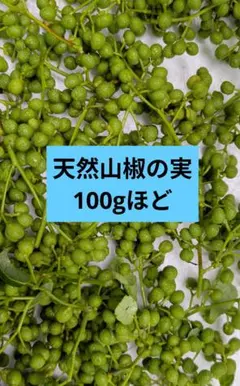 天然物 山椒の実 　100 gほどのサムネイル