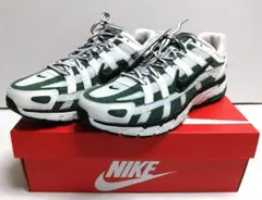 【NIKE】P-6000