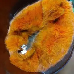 Item thumbnail for item 4e30aa35-026e-4721-bc7e-ef89f5f8b400