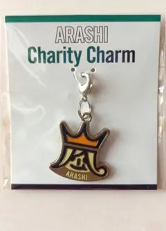 ね*ん様 嵐 チャリティーチャーム Beautiful World 新品未開封
