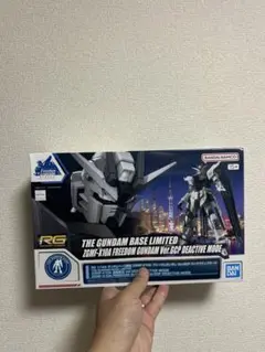 11/4まで】 RGフリーダムガンダム ver. gcp ディアクティブモード