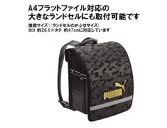 Item thumbnail for item 4f03a986-c434-4110-b191-64c2dfddf555