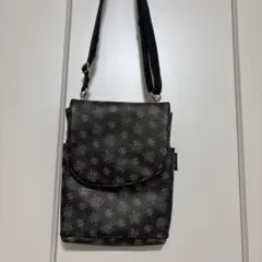 Item thumbnail for item f67c0466-d0ee-456d-8693-99ba9128775a