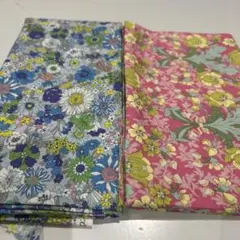 Item thumbnail for item 63012c21-1c2b-465b-bd52-08ade4864faf