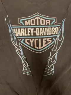 『入手困難』90s ハーレーダビッドソン ヴィンテージロングTシャツ フレイム