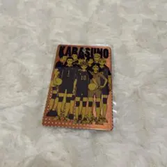 ハイキュー!! グッズ 日向 影山 月島 山口 澤村 菅原 東峰 田中 西谷