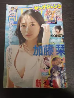 週刊プレイボーイNo.19.20 2018年5月14日号 付録 今田美桜DVD - メルカリ