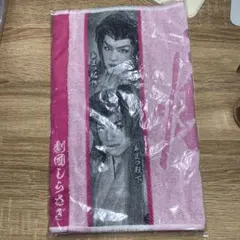 Item thumbnail for item a5771991-e2e2-40e1-ab57-b02acd76f581