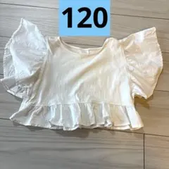 【即購入歓迎】ZARA フリル付きホワイトTシャツ 120 女の子　半袖