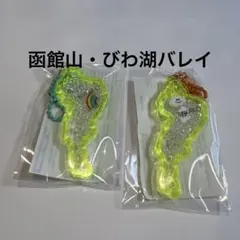 琵琶湖アクリルキーホルダー 琵琶湖バレイ、滋賀レイクス 2個セット グッズ】「BIWAKOアクリルキーホルダー レイクスver. 」再販とご