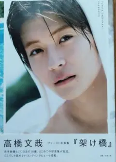 Item thumbnail for item 0e6083ff-60b4-4ea8-8fd6-790a34dbda7e