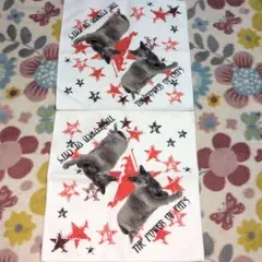 2026年最新】dir en grey タオルの人気アイテム - メルカリ